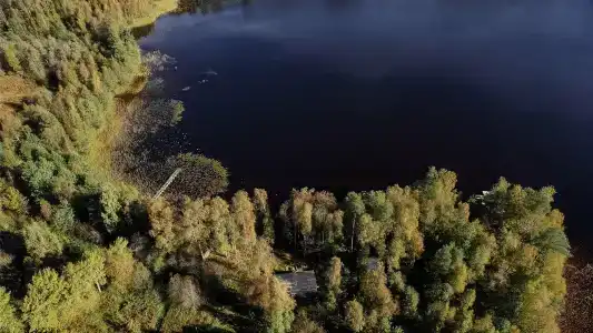 Sky Wood Hills - 63