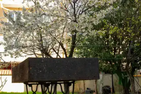 Усадьба - 57