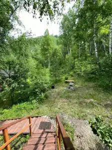 Алтай-Сосна - 49