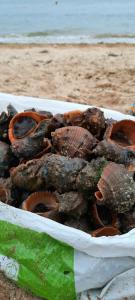 Море релакса - 21