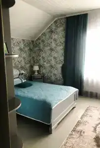Дом художника Чаругина - 31