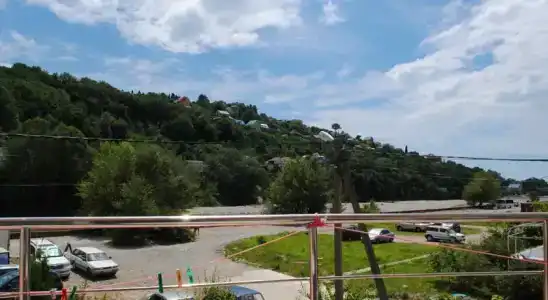 Эдельвейс - 64