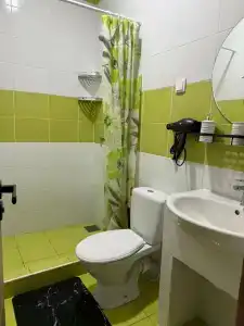 Олимпия - 110