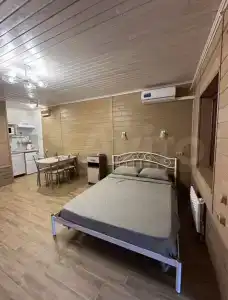 Наро-Фоминский физкультурник - 25