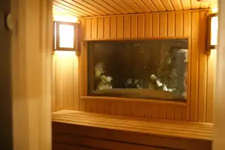Rent. hut - 125