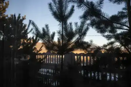 Эдельвейс - 60