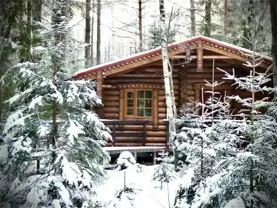 Неясыть - 62