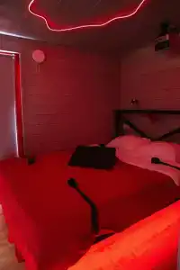 Икс-Лес - 73