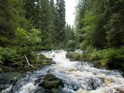 Салокюля - 79