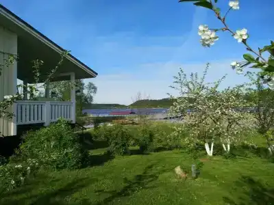 Lintu 2 - 73