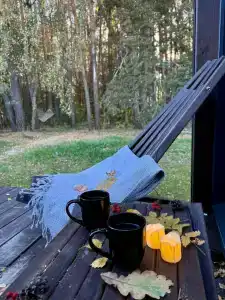 Южный Бор - 127