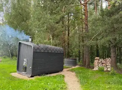 Южный Бор - 101