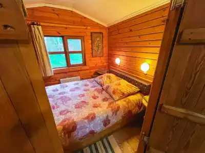 Берендеев лес - 159