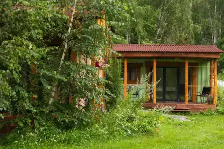Берендеев лес - 81