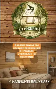 Стрижели - 54