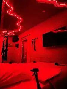 Икс-Лес - 52