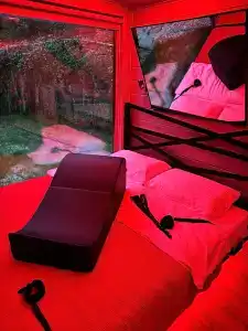 Икс-Лес - 50