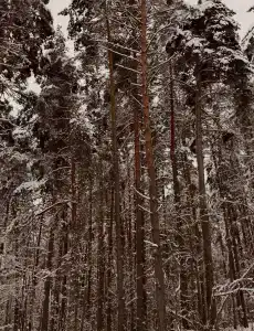 Хачин. Селигер - 0