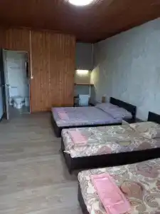 Таманит - 55