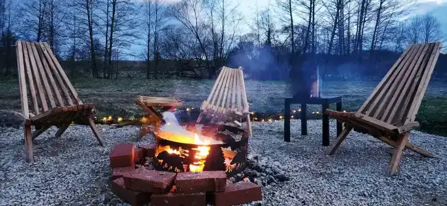 Лисица - 62