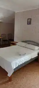 Фламинго - 23