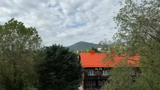 Виола - Рыбацкий - 238