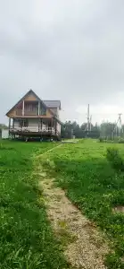Лисица - 76