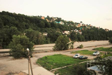 Эдельвейс - 60