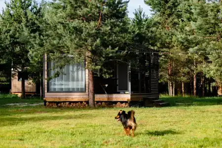 Lampi Camp - 78