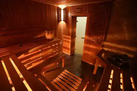 Багира - 55