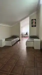 Palmira - 22