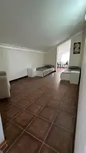 Palmira - 23