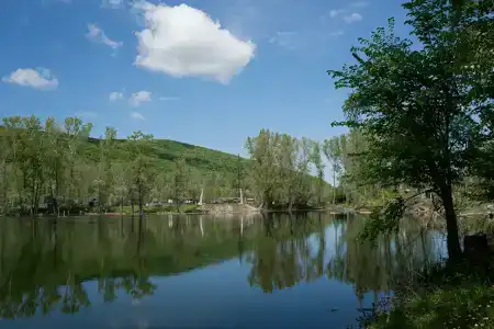 Заповедная поляна - 51