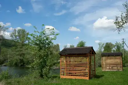 Заповедная поляна - 55