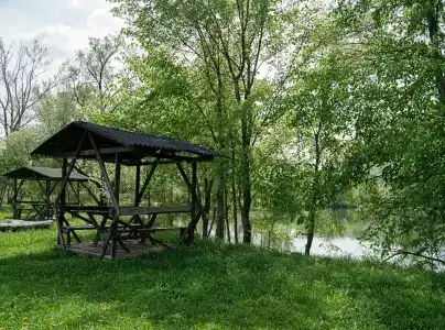 Заповедная поляна - 53
