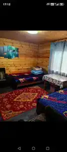 Медуза - 29