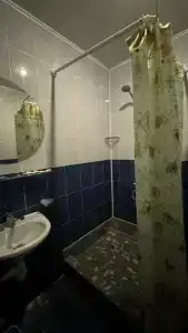 Дельфина - 76