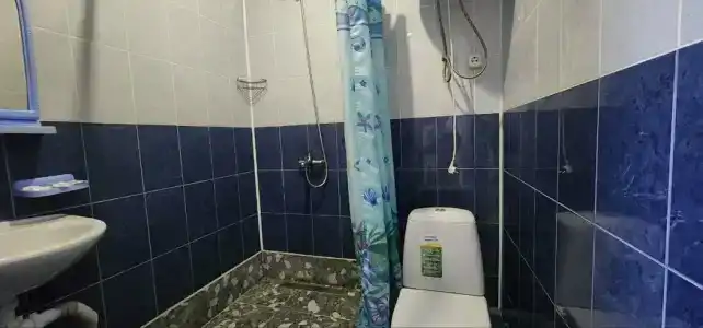 Дельфина - 103