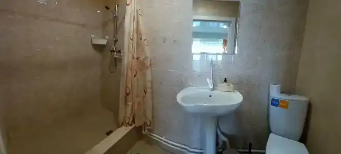 Таманит - 59