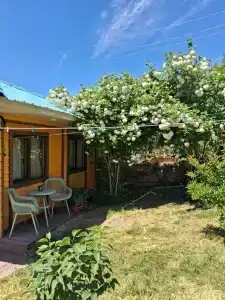 Chimgan Apple Garden - 28