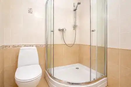Дионис - 99