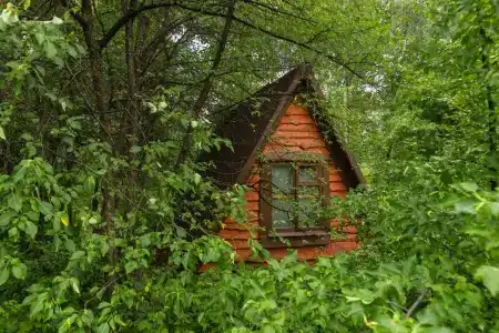 Берендеев лес - 123