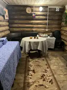 Стрижели - 61