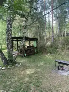 Алтай-Сосна - 35