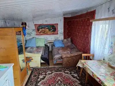 Сабро - 31
