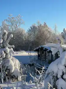 Стеклянный - 106