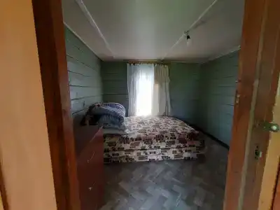 Три клена - 55