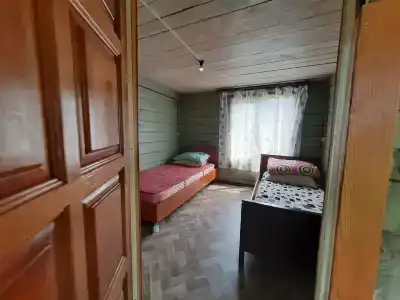 Три клена - 56