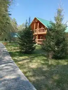 Лазурит - 113
