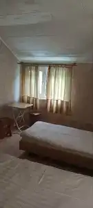 Фламинго - 22